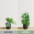 2 Pack 28'' Bendable Moss Pole Monstera Plant Support for Climbing Indoor Plants - Stakes for Potted Climbers - Tall