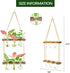 3 Bulb 2 XXXFLOWER Wall Hanging Propagation Station with Wooden Stand Vase Tiers Planters Wall Terrarium for Home
