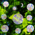 Window Clings - Anti-Collision Decals to Save Birds, Non-Adhesive Rainbow Stickers, 18 Pcs Circle Clings