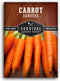 Danvers Carrot Seeds Danvers 126 Half-Long Carrots for Planting, High-Yield Heirloom Variety
