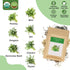 TitaniX (7-pod) Gourmet Herb Seed Pod Kit for AeroGarden, idoo, Ahopegarden, MUFGA with Basil, Parsley, Thyme, Mint