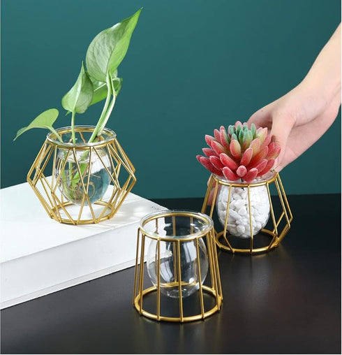 Nordic Small Clear Glass Vase, Metal Geometric Iron Line Cup Pot for Hydroponic Flowers, Modern Home Décor