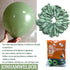 Jonhamwelbor Sage Green Balloons, Olive Green Eucalyptus Green, 100 Pack 12 Inch Matte Latex Balloons