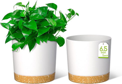 ZMTECH Plant Pots, 6.5'' Self Watering Plastic Planter with Drainage Hole, 2 Pack White Flower Pot