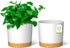 ZMTECH Plant Pots, 6.5'' Self Watering Plastic Planter with Drainage Hole, 2 Pack White Flower Pot