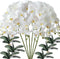 FagusHome 6 Pcs Artificial Phalaenopsis Flowers with 6 Bundles Leaves, Artificial Orchid Flowers Stem Plants for Home