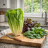 Sunutri Seeds 2500+ 9 Greens Seeds Collection, Seeds, Heirloom Varieties, Arugula, Beet, Upland Cress, Vates Collard