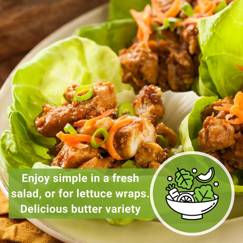 Packet (1) Sow Right Seeds - Buttercrunch Lettuce Seeds for Planting - Non-GMO Heirloom with Instructions to Plant a