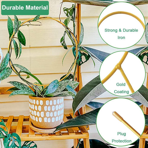 Kiouposy 2 Pack 15" Circle Trellis for Climbing Plants Indoor, Gold Small Plant Support Stakes, Flower Houseplant Hoya