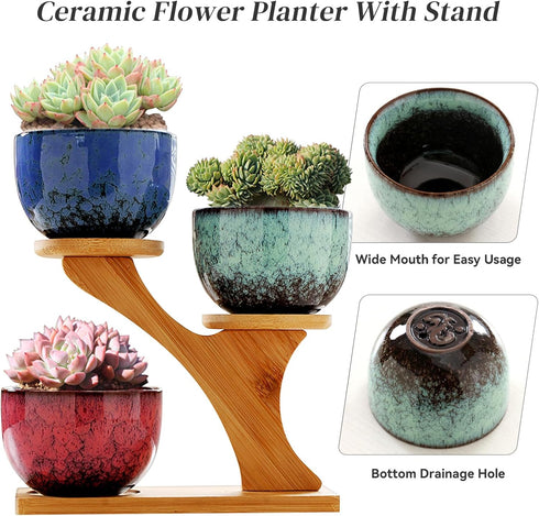 3 (#006) Succulent Pots with Tier Bamboo Saucers Stand Holder Modern Decorative Ceramic Flower Pots with Drainage Mini