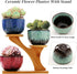 3 (#006) Succulent Pots with Tier Bamboo Saucers Stand Holder Modern Decorative Ceramic Flower Pots with Drainage Mini