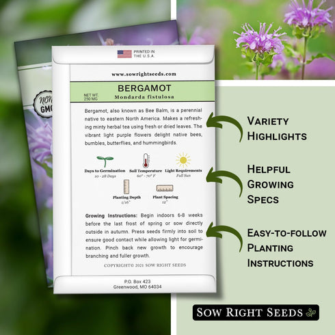 Packet (1) Sow Right Seeds - Bergamot (Bee Balm) Flower Seeds for Planting - Beautiful Flowers to Plant in Your Home