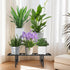 LLAXERGU 2-Tier Plant Stand Indoor Outdoor, Heavy Duty Iron Pedestal Stands Metal Plant Stand for Indoor Outdoor