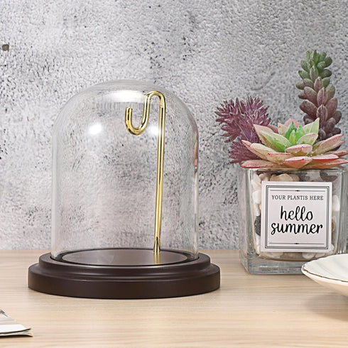 JUXYES Clear Watch Glass Display Dome Cloche With Hook, Dome Cloche with Hook with Wooden Base, Transparent Dome Cloche