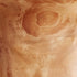 Enrico Root Wood Small Bowl, Brown, 6"