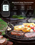 Govee Bluetooth Meat Thermometer, Wireless Digital Grill Thermometer for Smoker Oven, 2 Probes, Timer Mode, Smart LCD