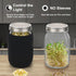 Lulonpon Sprouting Kit, 2 Sprouting Jar Kits with Stainless Steel Screen Lids, Seed Sprouter Set for Broccoli