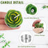Outee 12 Pcs Handmade Cactus Tealight Candles - Delicate Succulent Candle Mini Tea Lights for Home Décor
