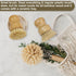 Set 1 2 Wooden Dish Brush Clean Pots, Pans and Vegetable, Natural Bristles Bamboo Scrub Brushes with Ceramic Dish