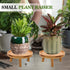 ARTORA 2PCS) Mid Century Modern Plant Stand, Wood Indoor Plant Holder Succulents Plant Pot Raiser Decorative Corner