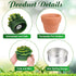 48 Shihanee Pcs Bulk Succulent Candles Decorative Cactus Tealight Candles Handmade Mini Terracotta Clay Holders House