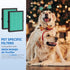 MK04 MG04JH Replacement Filters, Compatible with MK04 MG04JH Air Purifier, H13 True HEPA Green Filter, 2 Pack