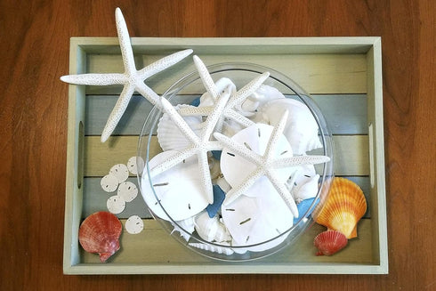 3" 3.5" Set 15 Packed Tumbler Home White Sand Dollars to of - Wedding Seashell Craft Sand Dollars- Hand Picked