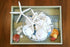 3" 3.5" Set 15 Packed Tumbler Home White Sand Dollars to of - Wedding Seashell Craft Sand Dollars- Hand Picked