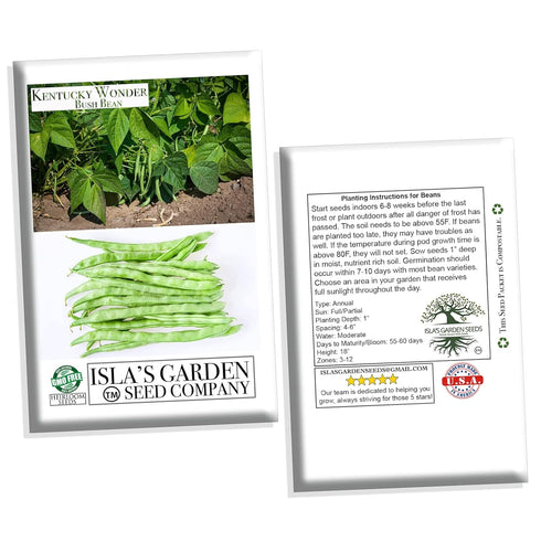 30+ Packet, Kentucky Wonder Bush Bean Seeds for Planting, Heirloom Seeds Per (Isla's Garden Seeds), Non GMO Seeds