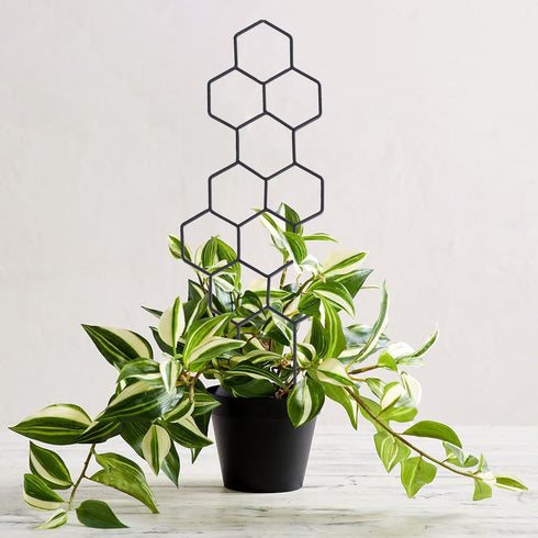 15.94 inch 2 Pack WellSign Small Trellis for Potted Plants, Metal Plant Trellis for Climbing Plants Indoor Pot