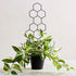 15.94 inch 2 Pack WellSign Small Trellis for Potted Plants, Metal Plant Trellis for Climbing Plants Indoor Pot