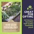 Pack 5 Packs 2026 Organic Herb Seeds Variety - Individual - Season - Basil, Oregano, Dill, Thyme & Parsley. for Indoor