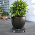 15 21 Inch 440 Lbs W B D WEIBIDA Plant Stand with Wheels Heavy Duty, Adjustable to Pot Roller Base, Rolling Planter