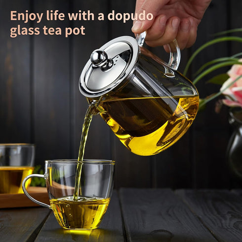 Glass Teapot 18.6 oz, Borosilicate Glass Tea Pot with Detachable Stainless Steel Infuser, Clear Tea Kettle for Loose Leaf Tea, Blooming Tea, Tea Bag