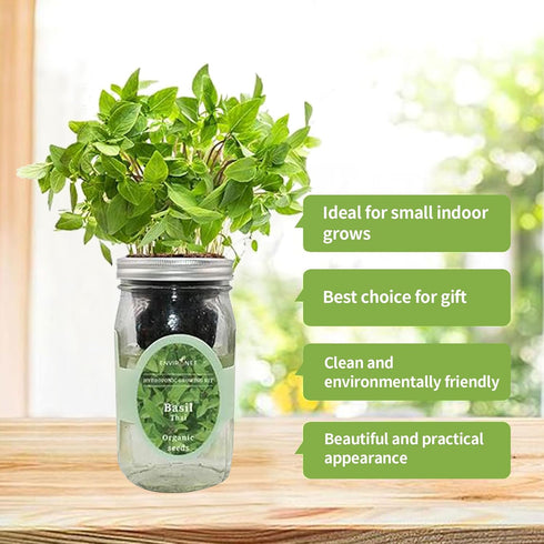 Hydroponic Herb Growing Kit, Self-Watering Mason Jar Herb Garden Starter Kit Indoor, Windowsill Herbs Garden, Grow Your
