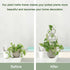 15.94 inch 2 Pack WellSign Small Trellis for Potted Plants, Metal Plant Trellis for Climbing Plants Indoor Pot