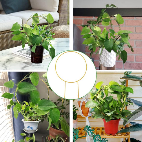 Kiouposy 2 Pack 15" Circle Trellis for Climbing Plants Indoor, Gold Small Plant Support Stakes, Flower Houseplant Hoya