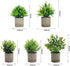 Set 5, AUUGUU Artificial Potted Plants of Realistic Faux Greenery in Cement Pots for Home Office Desk Bookshelf Decor