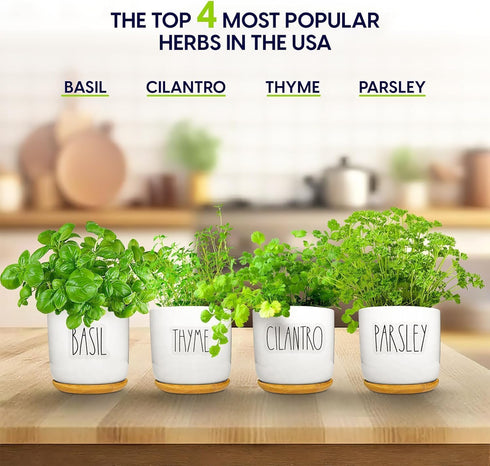 4 Set. Deluxe Ceramic Indoor Herb Kit Variety Herbs for Indoor & Outdoor Get Growing with Pots, Potting Soil for Window