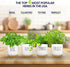 4 Set. Deluxe Ceramic Indoor Herb Kit Variety Herbs for Indoor & Outdoor Get Growing with Pots, Potting Soil for Window