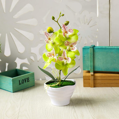 Artificial Phalaenopsis Flower Pot, Bonsai Ornament for Home Landscape Decor, White Flower for Beautiful Vitality