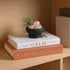 Cenjeery Set 2 Minimalist Decorative Books for Home Decor - of Aesthetic Faux/Fake Book Boxes Enhance Coffee Table