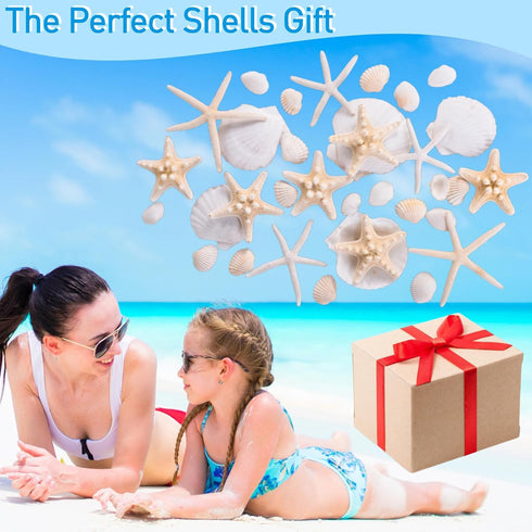Egcina 24PCS Sea Shells for Crafts Decoration, Real White Natural Scallop Shells and Starfish for DIY Projects