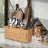 Ayiaren Wicker Flatware Caddies, Best Kitchen Silverware Organizer, Storage for Countertop, Party Utensil Holder