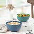 Unbreakable Cereal Bowls, 26 OZ Wheat Straw Bowls Set of 6, Microwave and Dishwasher Safe Kids Bowls for Kitchen, Lightweight Serving Bowls for Soup, Salad, Oatmeal (Multi Colors) by BUSOKIP