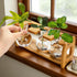 2 Pack 8 Bulbs Pumtus Propagation Stations with Bamboo Stand, Desktop Water Plant Terrarium Vase, Retro Plant