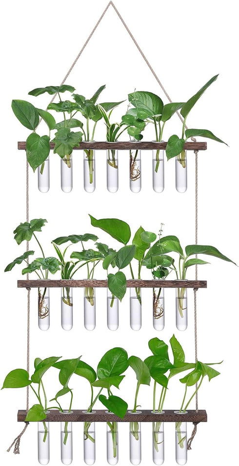 XXXFLOWER Wall Hanging Propagation Station with Wooden Stand 21 Glass Test Tubes