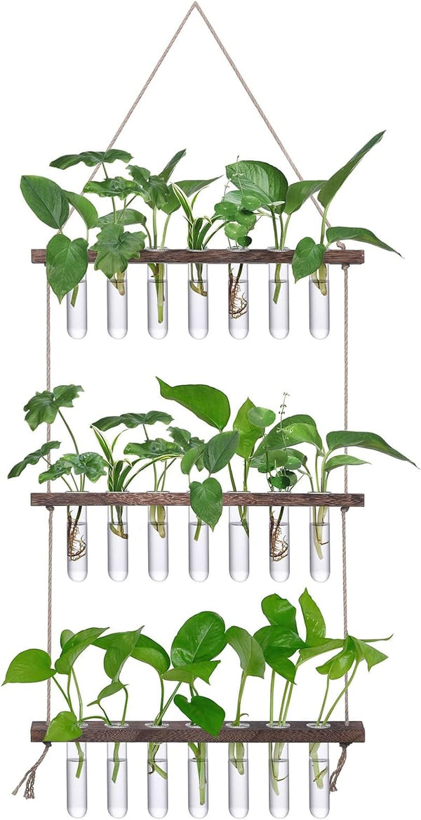 XXXFLOWER Wall Hanging Propagation Station with Wooden Stand 21 Glass Test Tubes