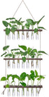XXXFLOWER Wall Hanging Propagation Station with Wooden Stand 21 Glass Test Tubes