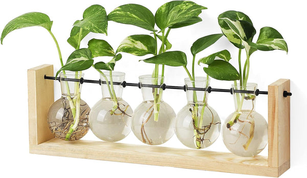 Mkono Plant Terrarium with Wooden Stand, Wall Hanging Glass Planter Desktop Plant